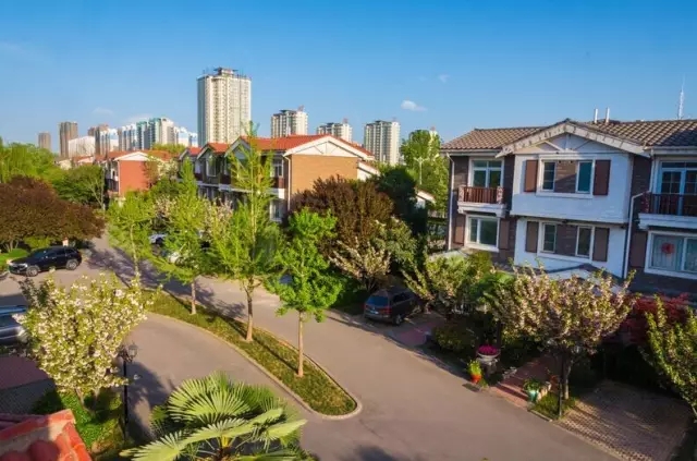 纸杯蛋糕 | 繁花五月，，，，，唯爱绵绵