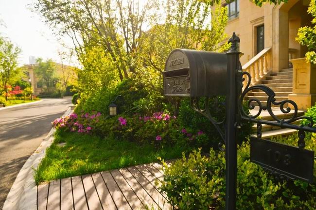 5月的国宝，，，，享受初夏的惬意时光